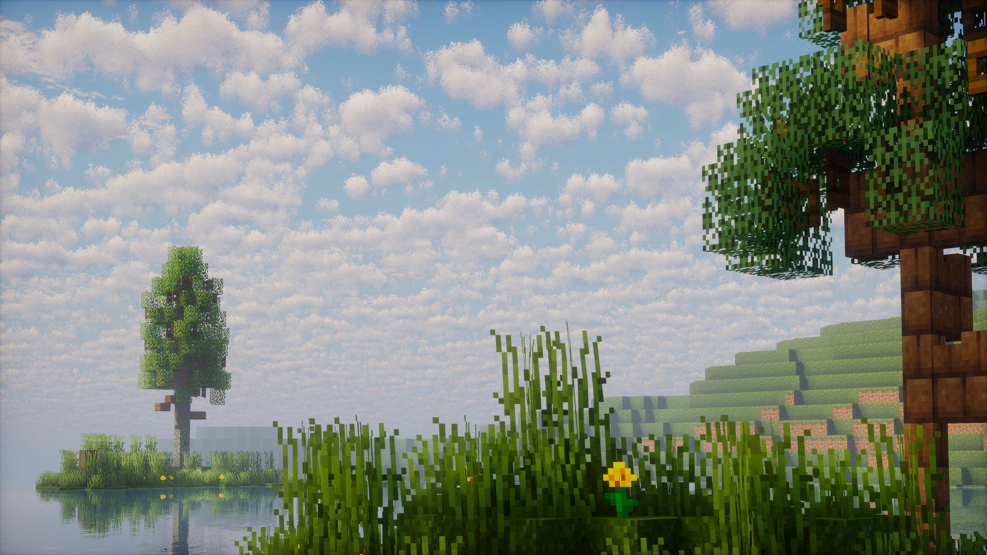 Outskirts and Countryside